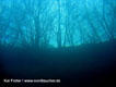 Das Wasser ist so klar, dass man aus 10m. Tiefe die Bäume an der Uferböschung fotografieren kann